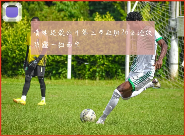 黄蜂逆袭公牛第三节狂胜26分连败阴霾一扫而空