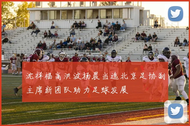 沈祥福高洪波杨晨当选北京足协副主席新团队助力足球发展
