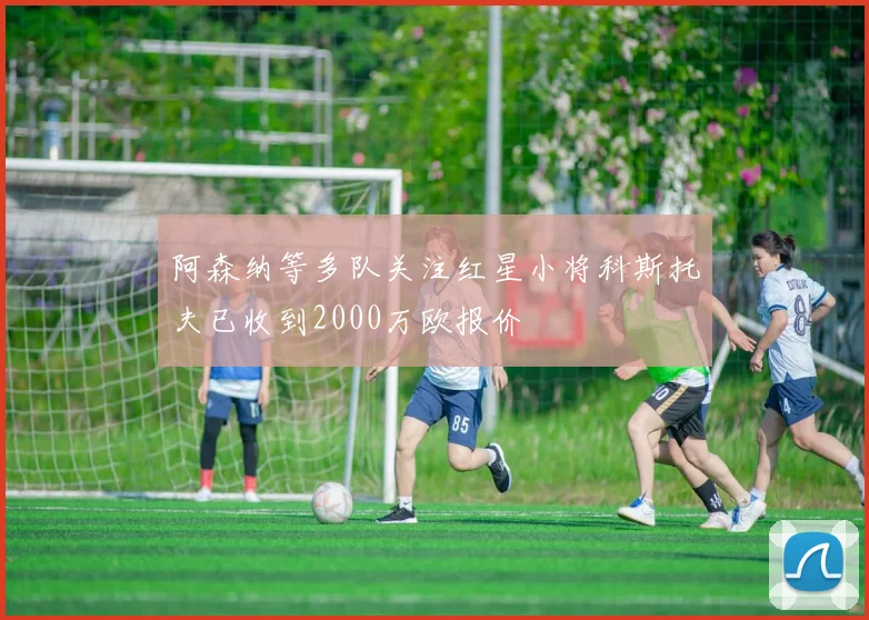 阿森纳等多队关注红星小将科斯托夫已收到2000万欧报价