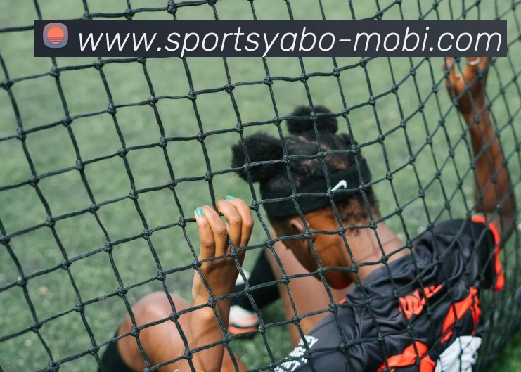 亚博体育发展历程