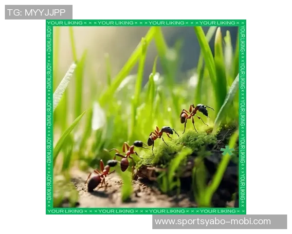 姚明谈自由与渺小的哲学蚂蚁的探索精神启示我们如何面对生活