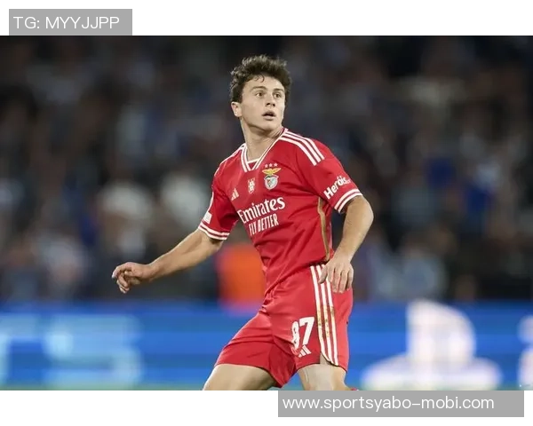 葡萄牙国家队宣布若昂内维斯受伤塔瓦雷斯紧急入选替补阵容